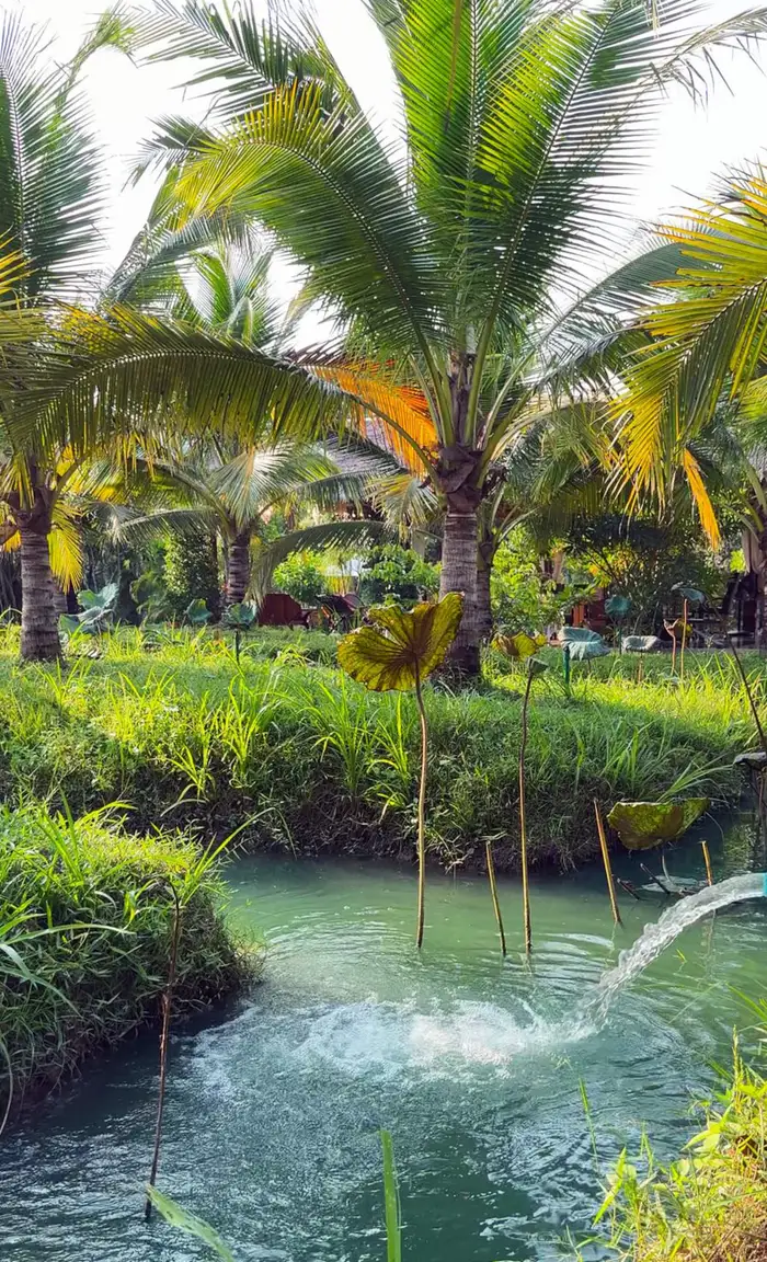 A small fountain in the pond under palm trees at Uma Valley