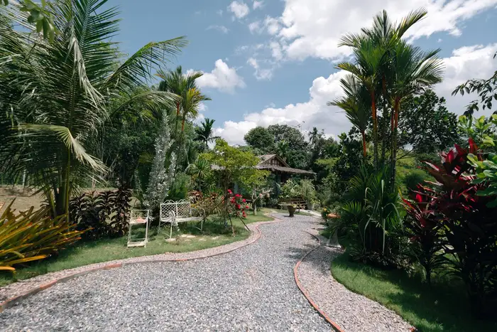 Gravel path through the palm garden at Uma Valley