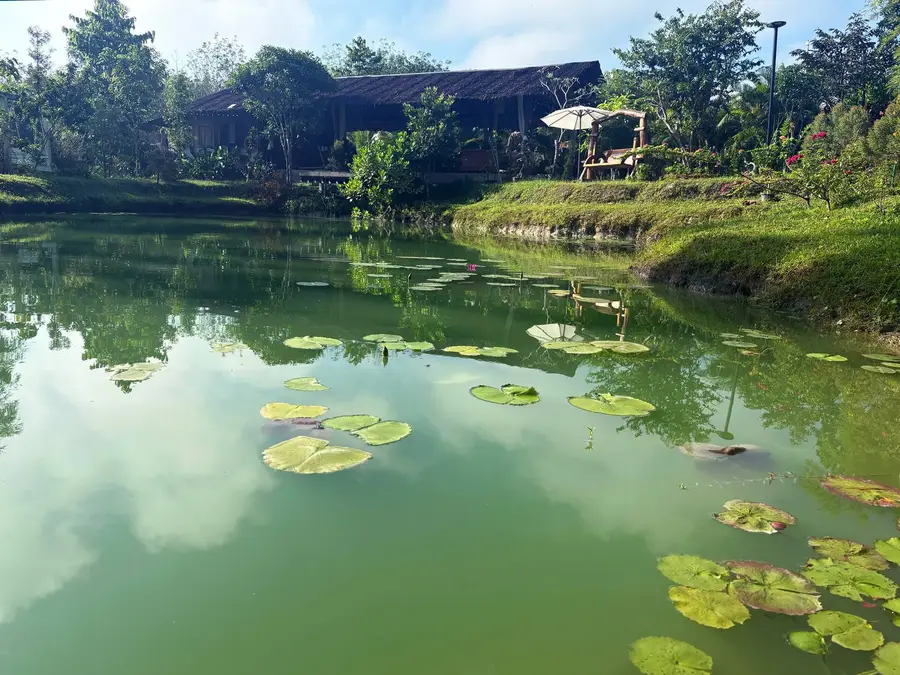 Lake with water lilies and the sala in the distance
