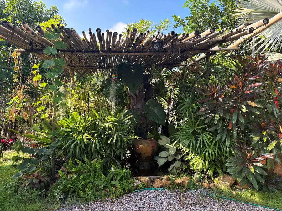 Lush tropical plants under a pergola