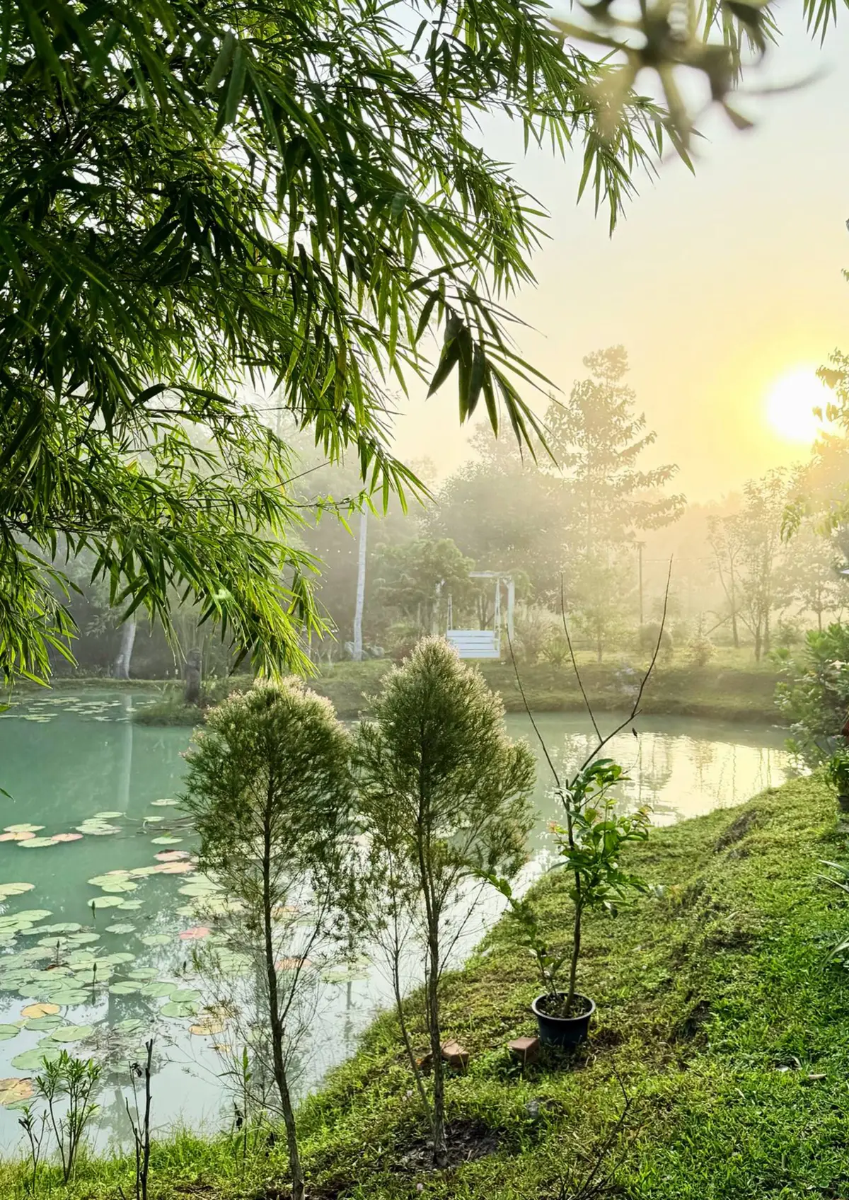 Morning mist over the pond at sunrise